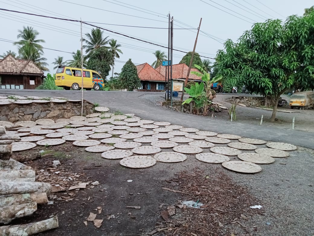 WhatsApp Image 2025-11-30 at 07.36.32